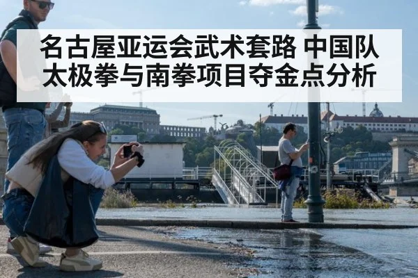 名古屋亚运会武术套路 中国队太极拳与南拳项目夺金点分析